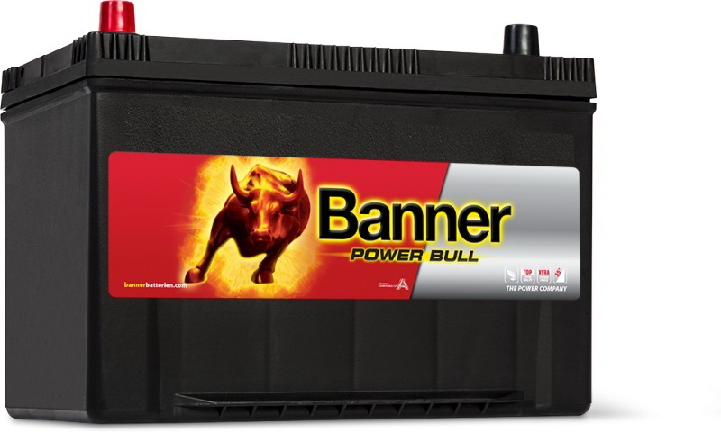 Купить запчасть BANNER - P9505 Аккумулятор