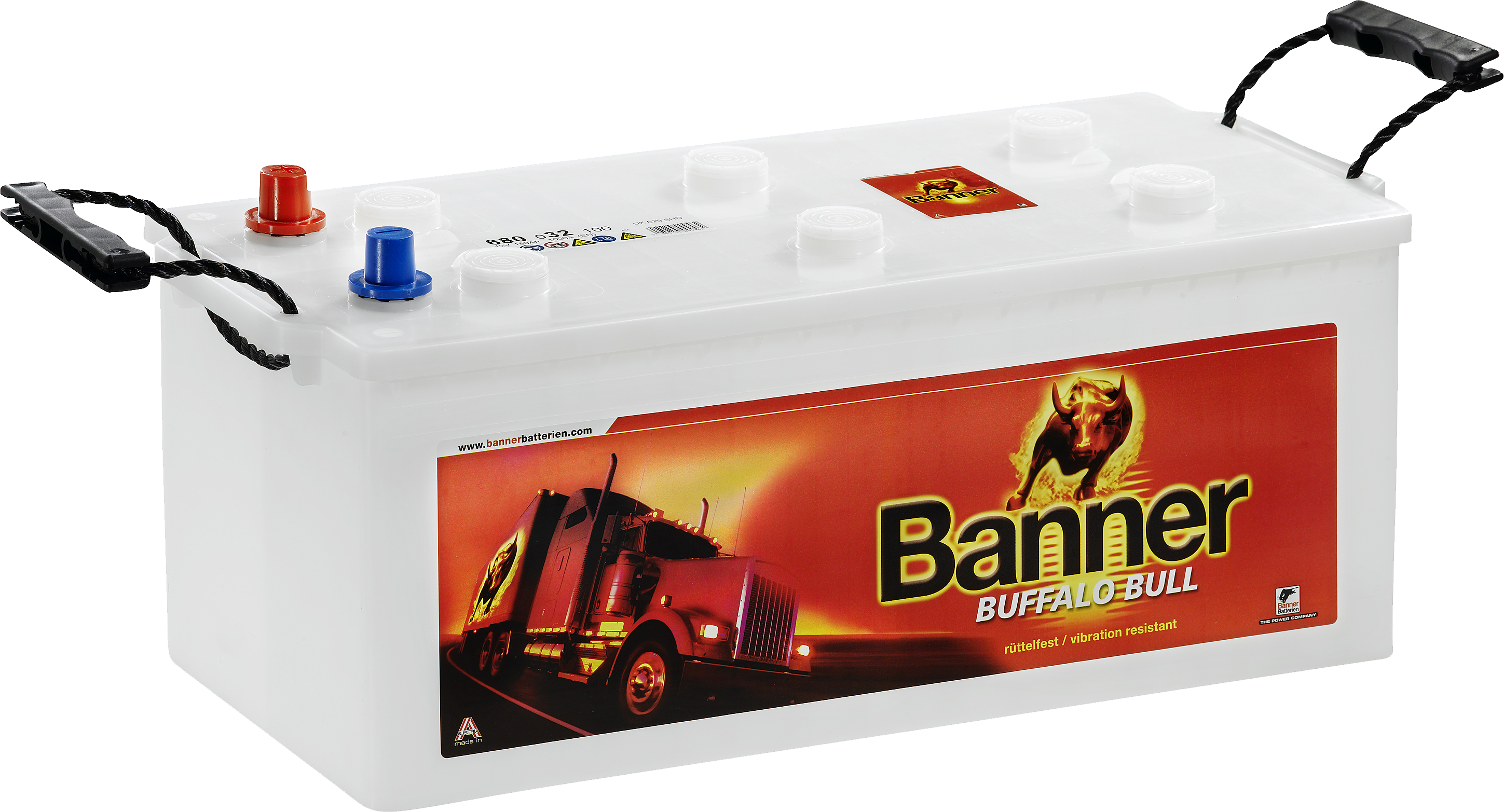 Купить BANNER - SHD68032 Buffalo Bull Shd SHD68032