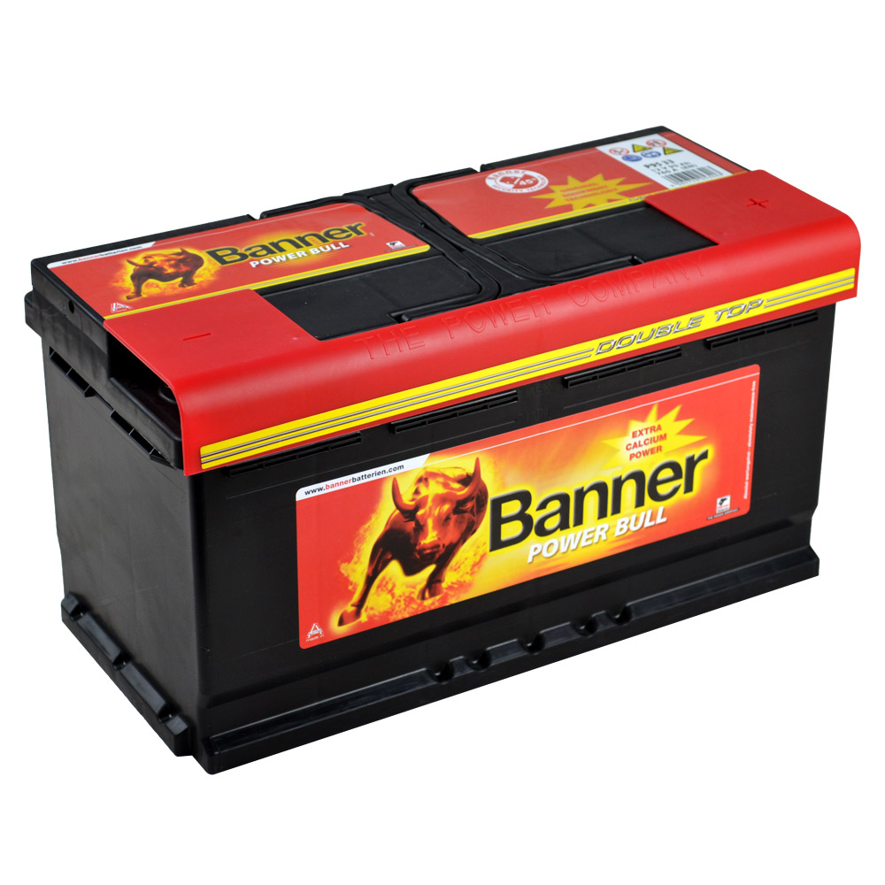 Купить BANNER - P9533 Аккумулятор