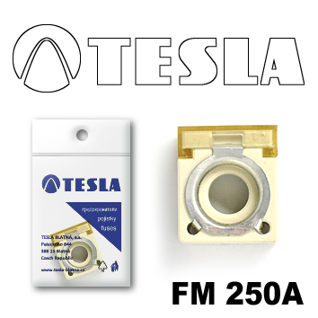 Купить TESLA - FM250A Предохранитель компактный FM  250A