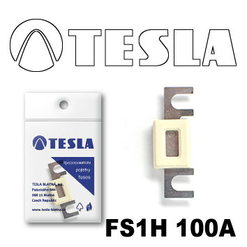 Купить TESLA - FS1H100A Предохранитель ленточный с изолятором 100А
